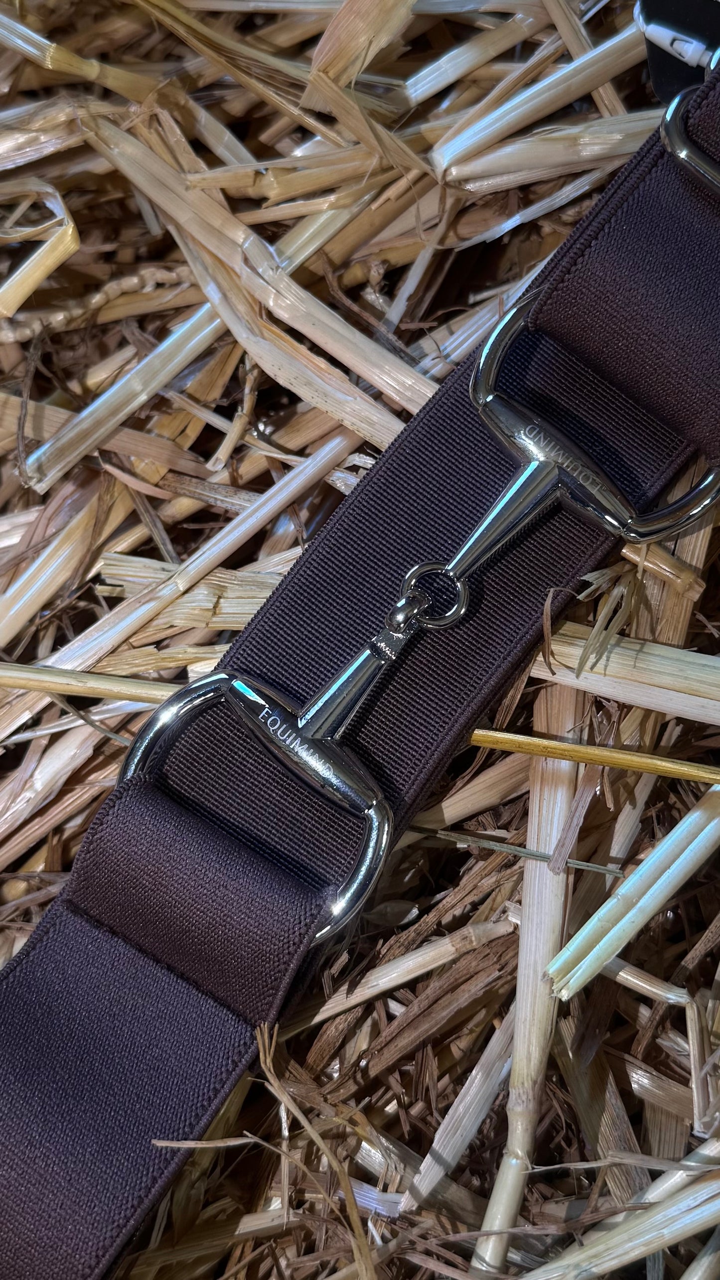 Chestnut Charm🌰