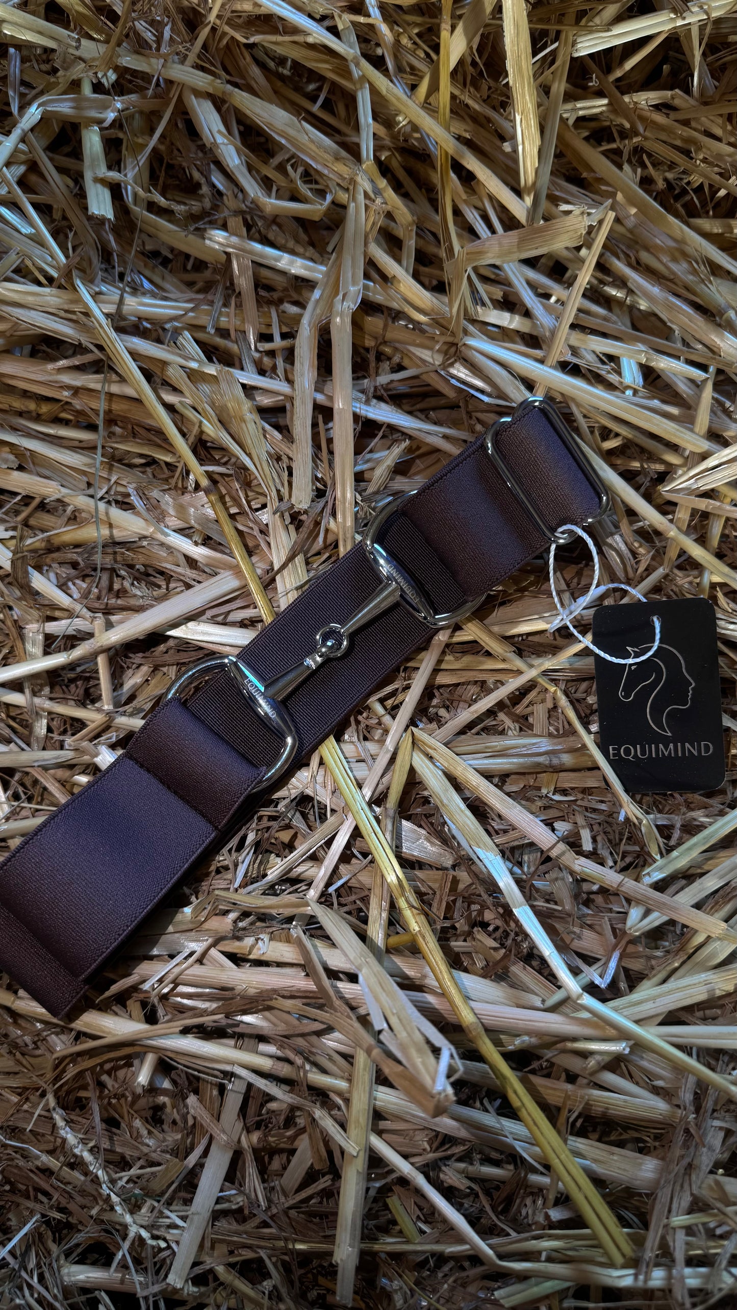 Chestnut Charm🌰
